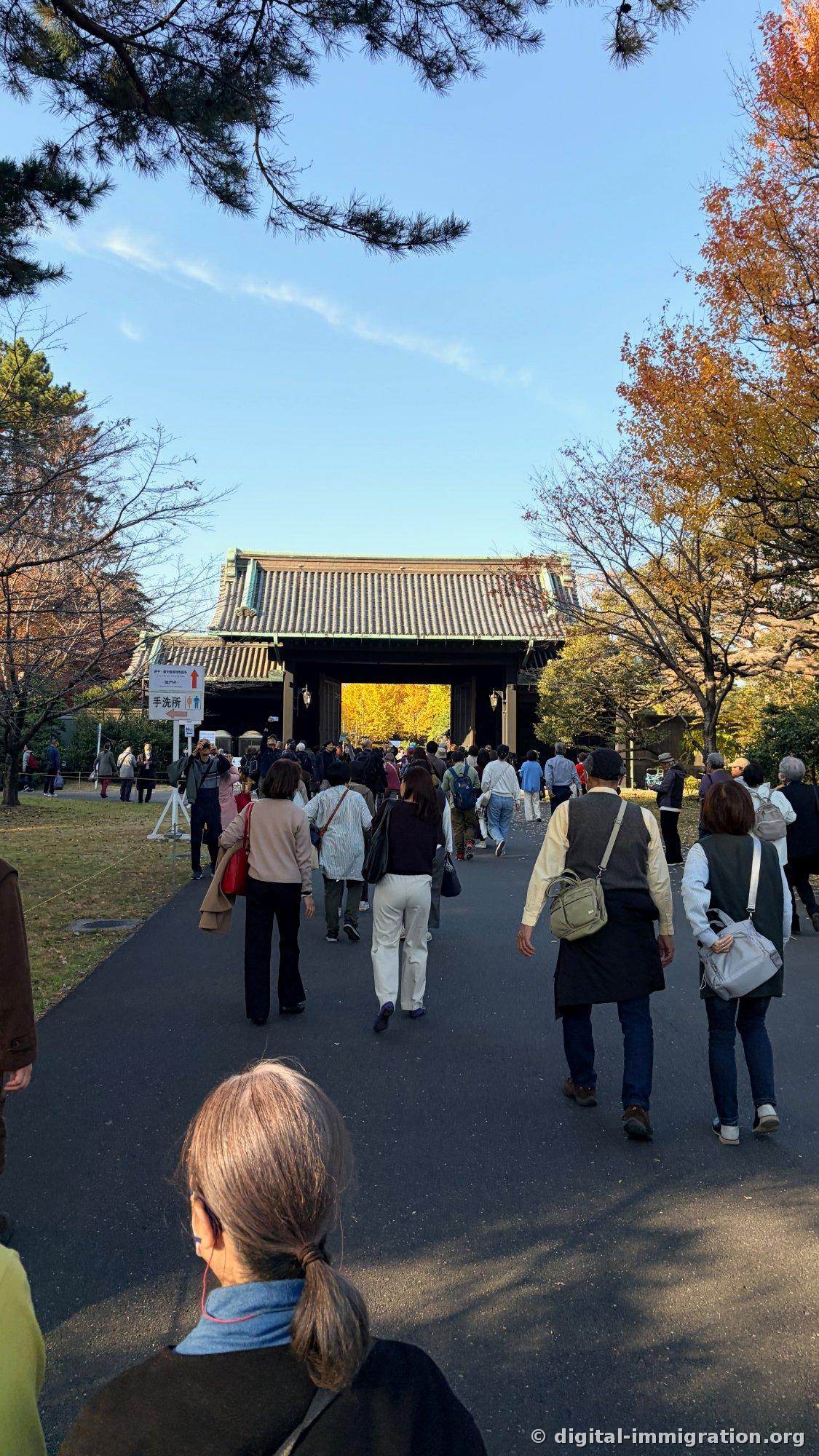 Une vue de quelqu'un suivant la file vers la porte, avec un ginkgo jaune brillant visible au-delà de la porte