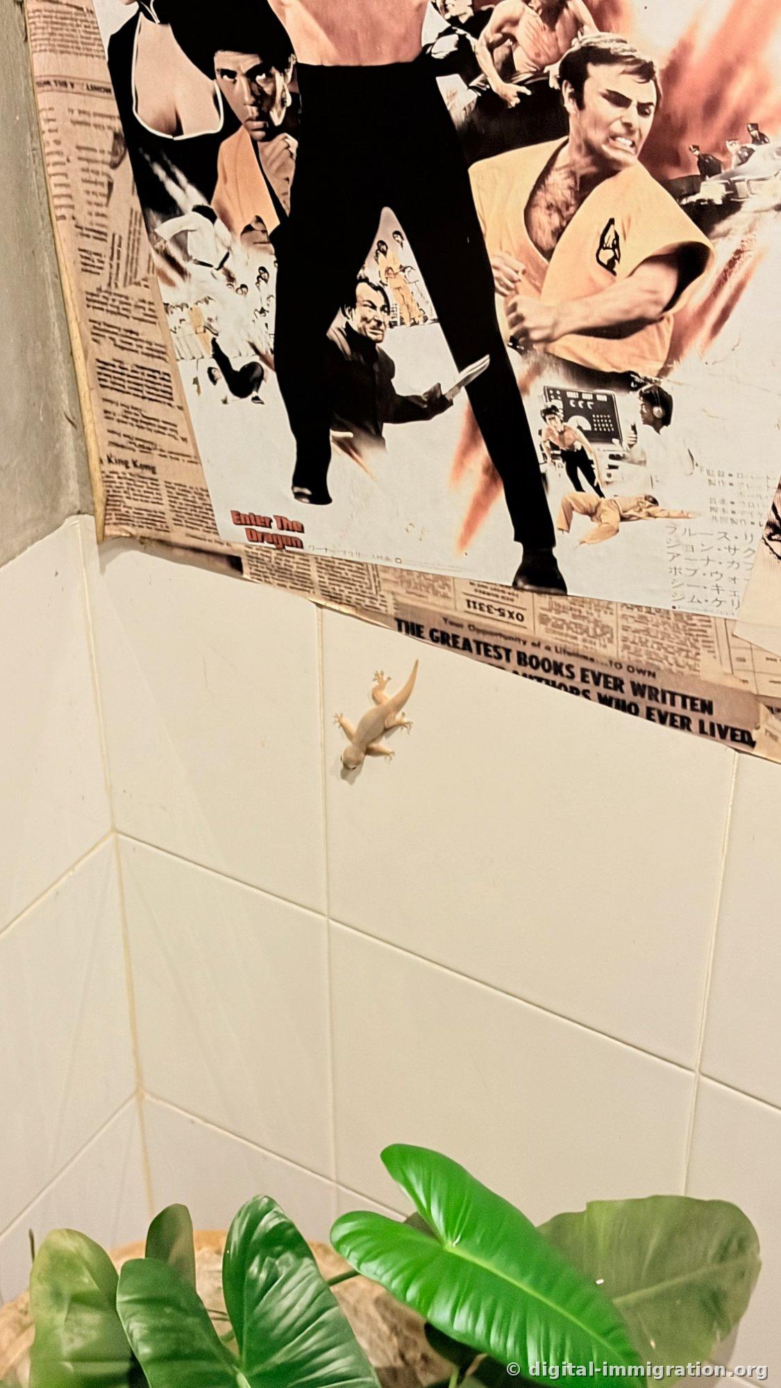 Une affiche du film 'La Fureur de vivre' en japonais sur le mur des toilettes et un petit gecko gris collé au carreau blanc en dessous
