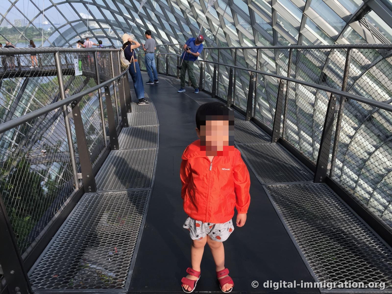 A child in an orange windbreaker standing in the middle of the Cloud Forest suspended walkway with other visitors leaning against the railing behind