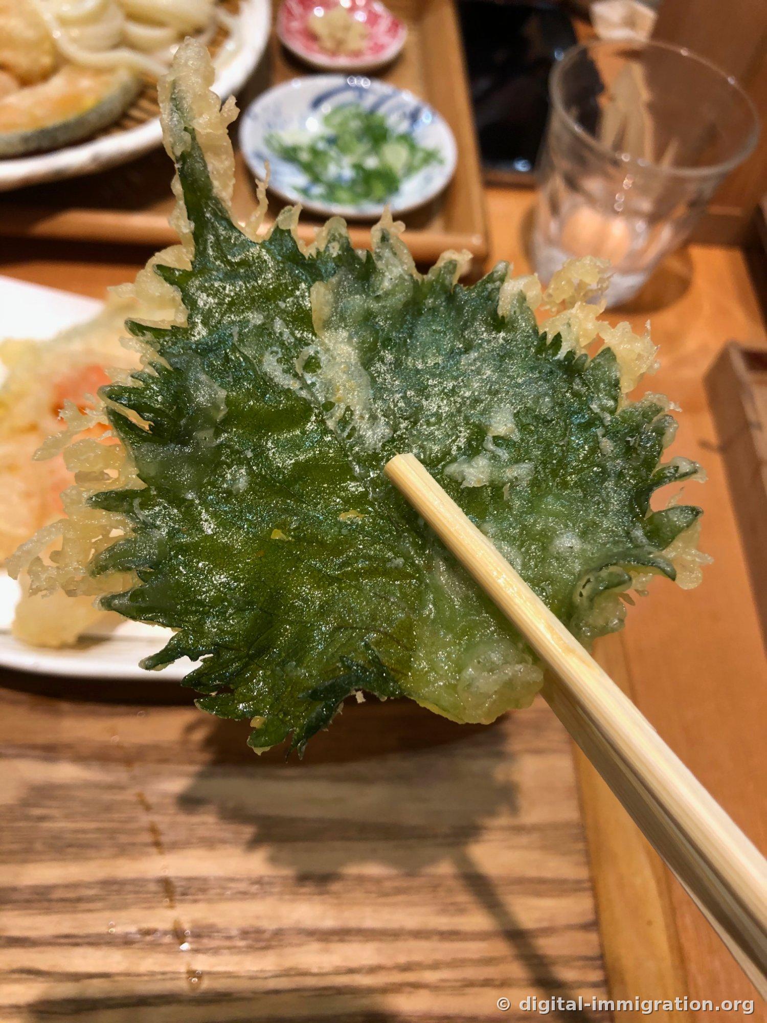 箸で持った大葉の葉揚げ、ギザギザの葉の端と緑色の葉脈が薄い衣越しにそのまま見える