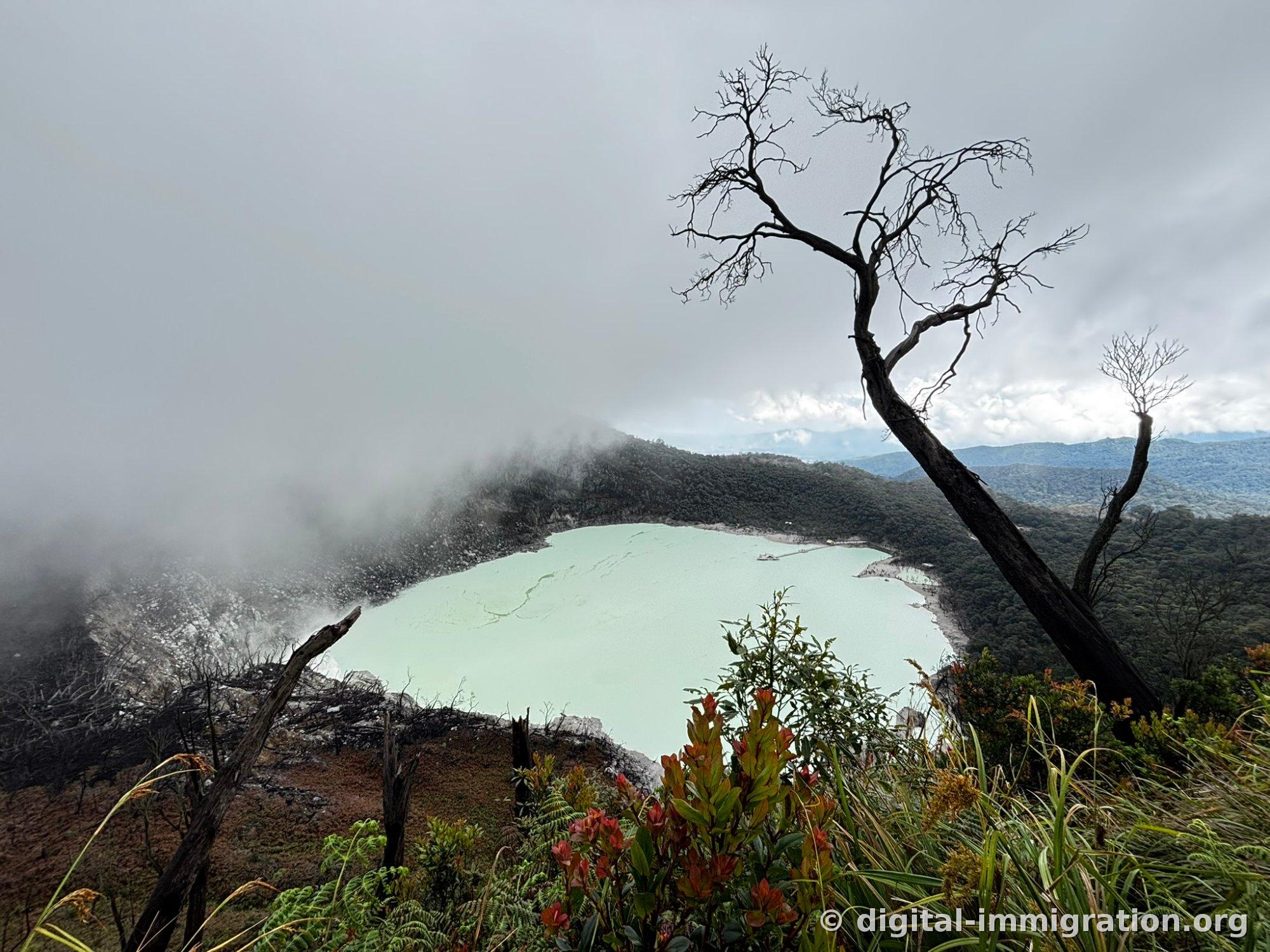 Milky cyan volcanic lake visible below the crater ridge half-hidden in clouds, with charred trees and red new shoots of shrubs in the foreground