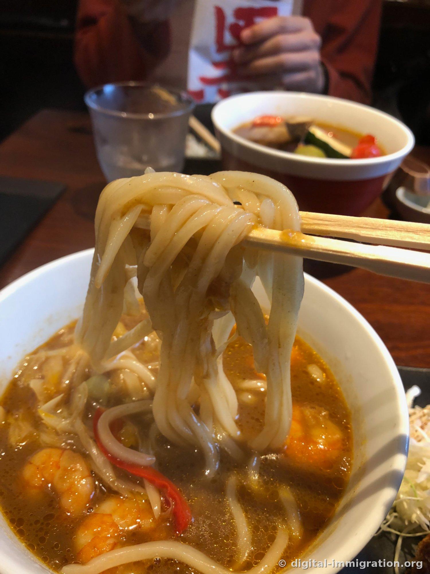 箸でカレースープから太いうどん麺を持ち上げた様子。麺にカレーがついており、奥の赤い器に別のうどんが見える