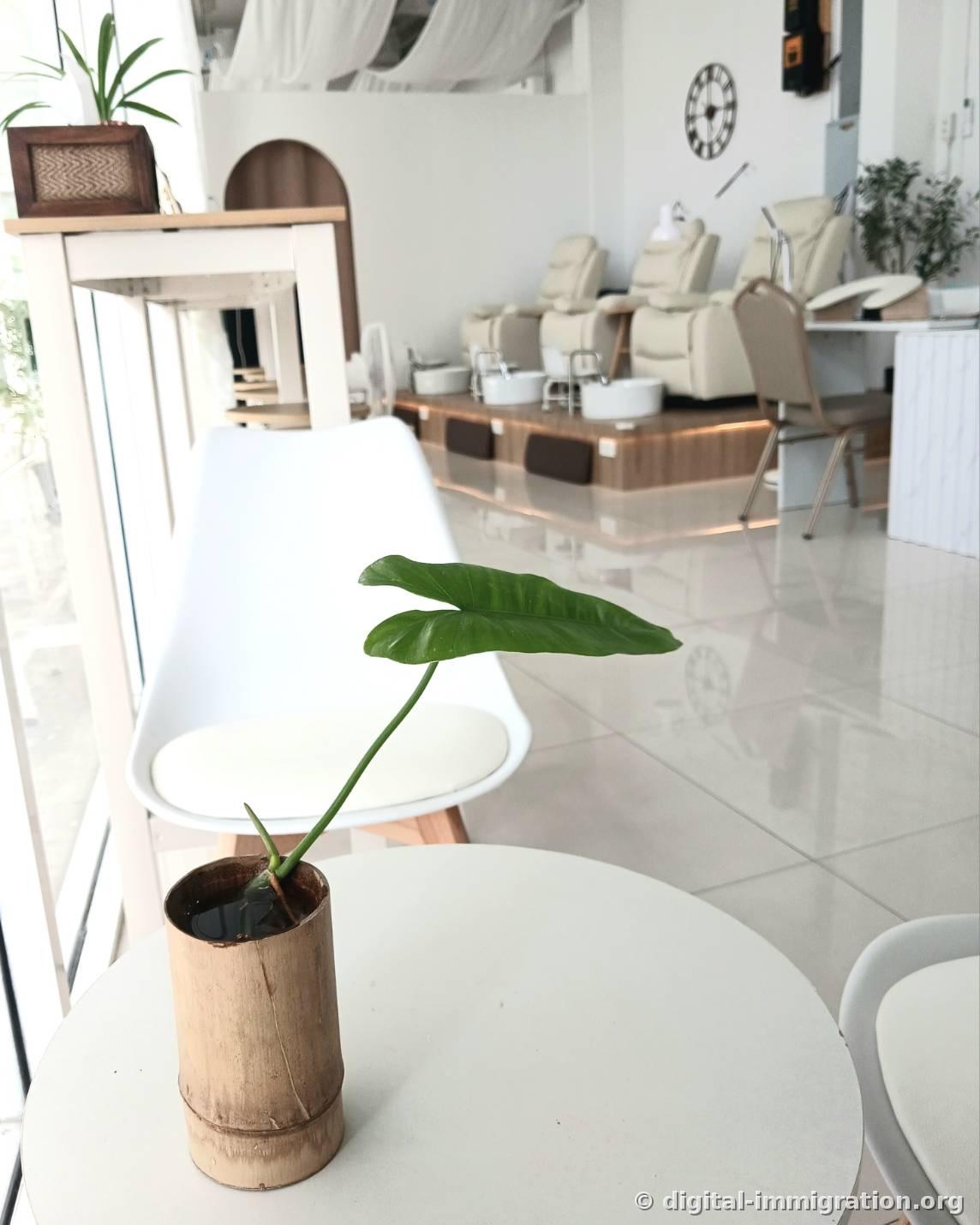 White bamboo vase with a single leaf on a white round table, cream-colored pedicure chairs and white tile floor visible behind, interior of the shop