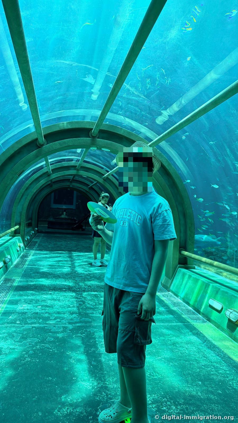 A child in a turquoise underwater acrylic tunnel with fish passing overhead