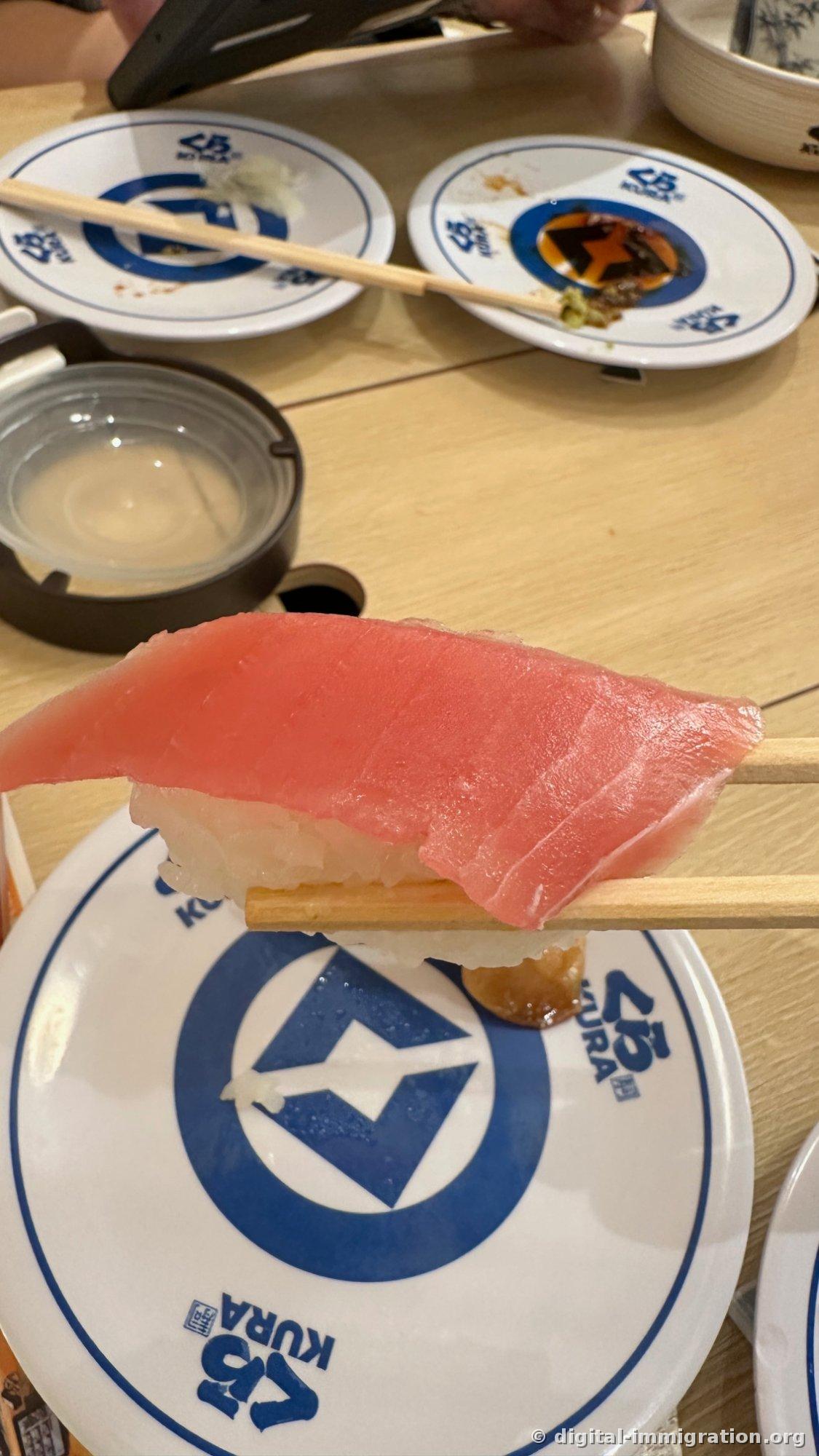 Maguro sushi soulevé avec des baguettes. La chair de thon rouge couvre largement le riz avec une assiette blanche avec le logo Kura Sushi en dessous