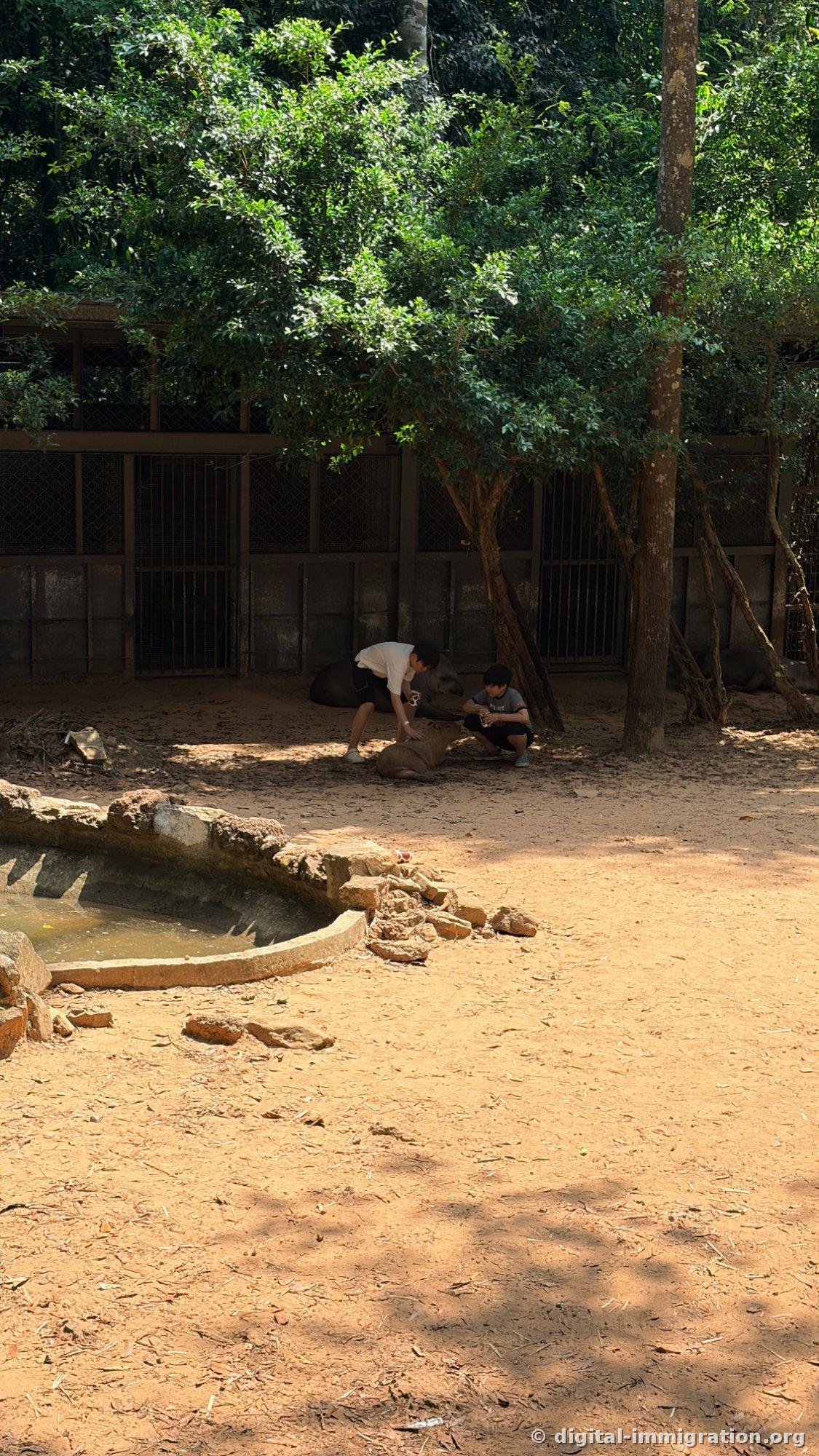Two children crouching down to pet a young fawn on dirt ground, with larger deer resting in the shade of their pen behind
