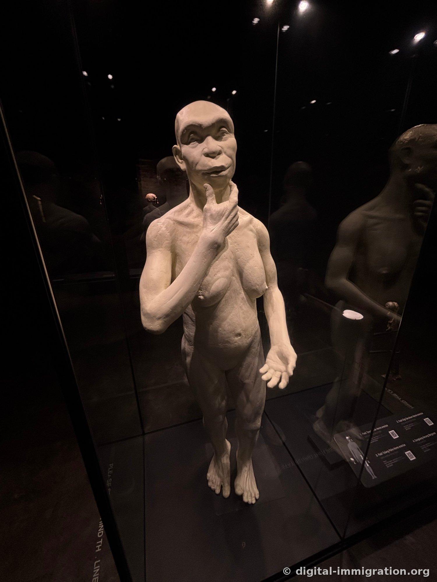 A life-size early human reconstruction model inside a dark glass display case, hand to chin, facing forward
