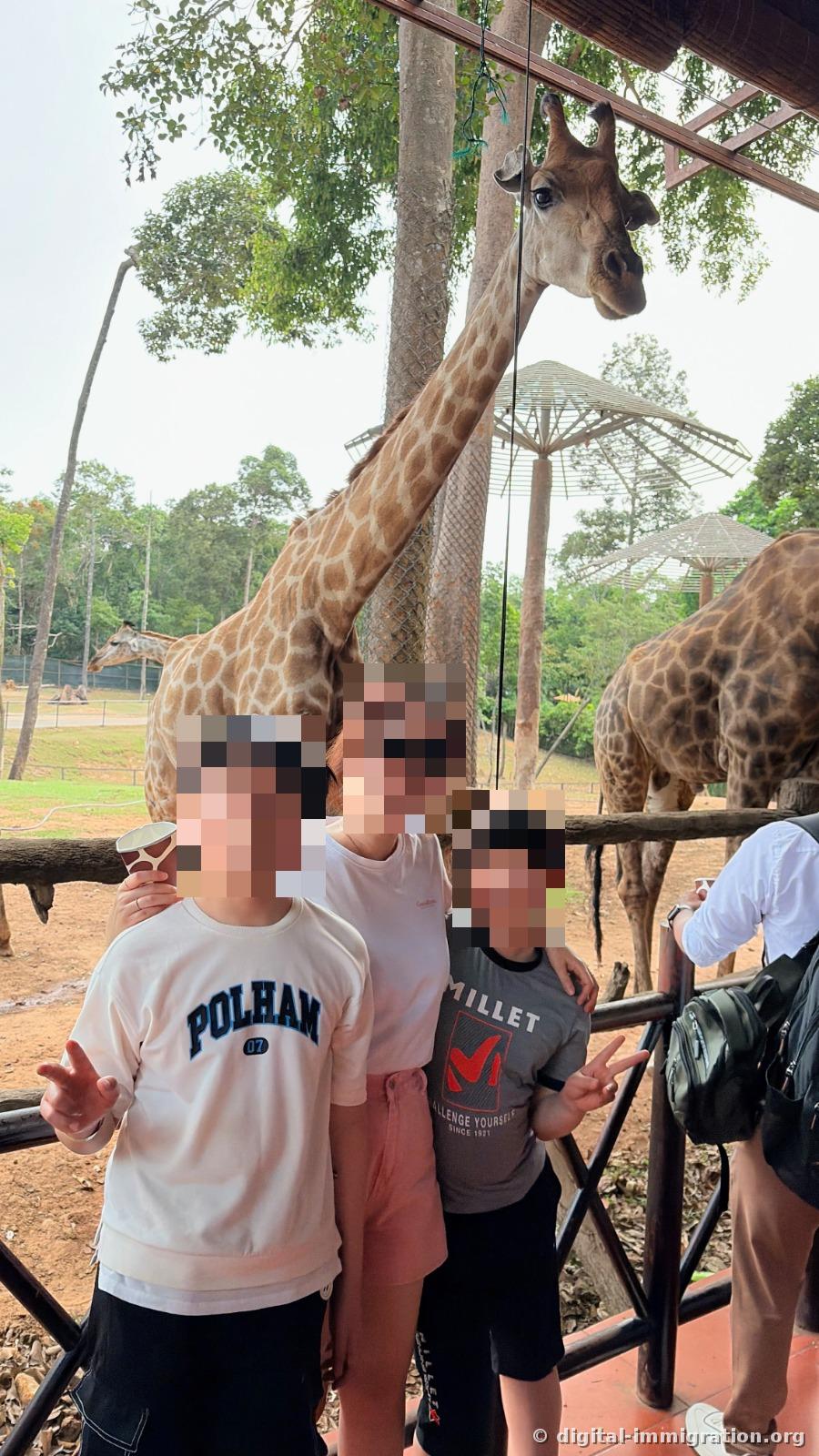 Three children standing together in a V pose beneath a giraffe's extended neck with a white parasol structure behind them