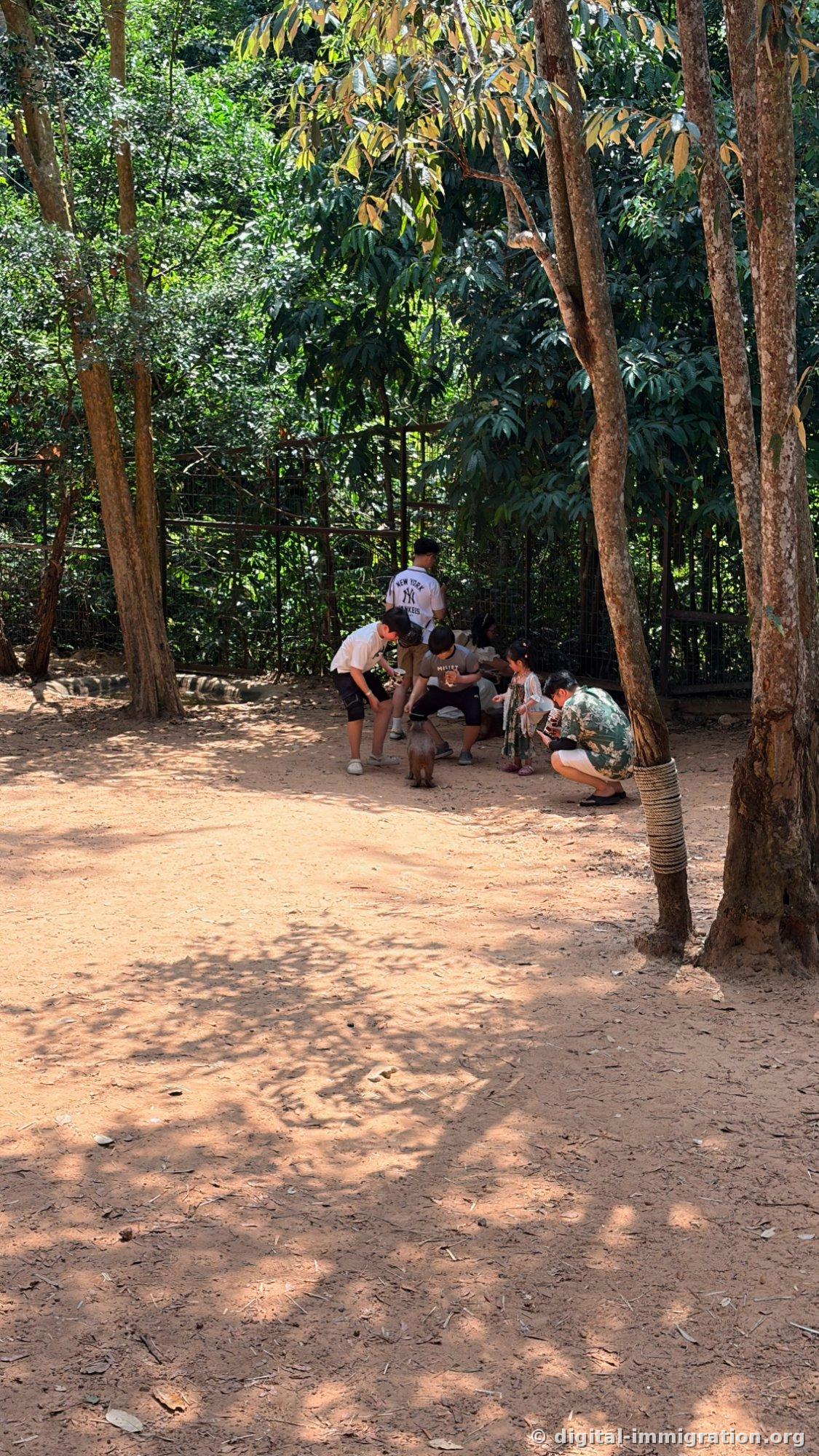 Children and adults gathered in a circle on red earth beneath tall trees, holding feed cups for a small animal
