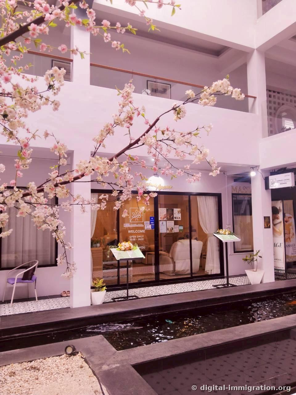White building illuminated at night with an artificial cherry blossom tree and koi pond in front, gold karahill Anona sign and WELCOME OPEN DAILY 10:00-24:00 notice on the glass door