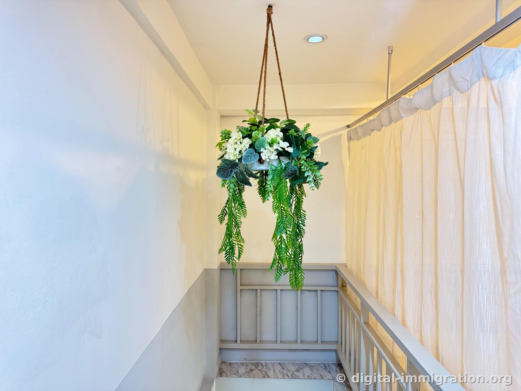 White-walled hallway with artificial potted plants hanging from rope on the ceiling, thin curtain and stair railing visible on the right