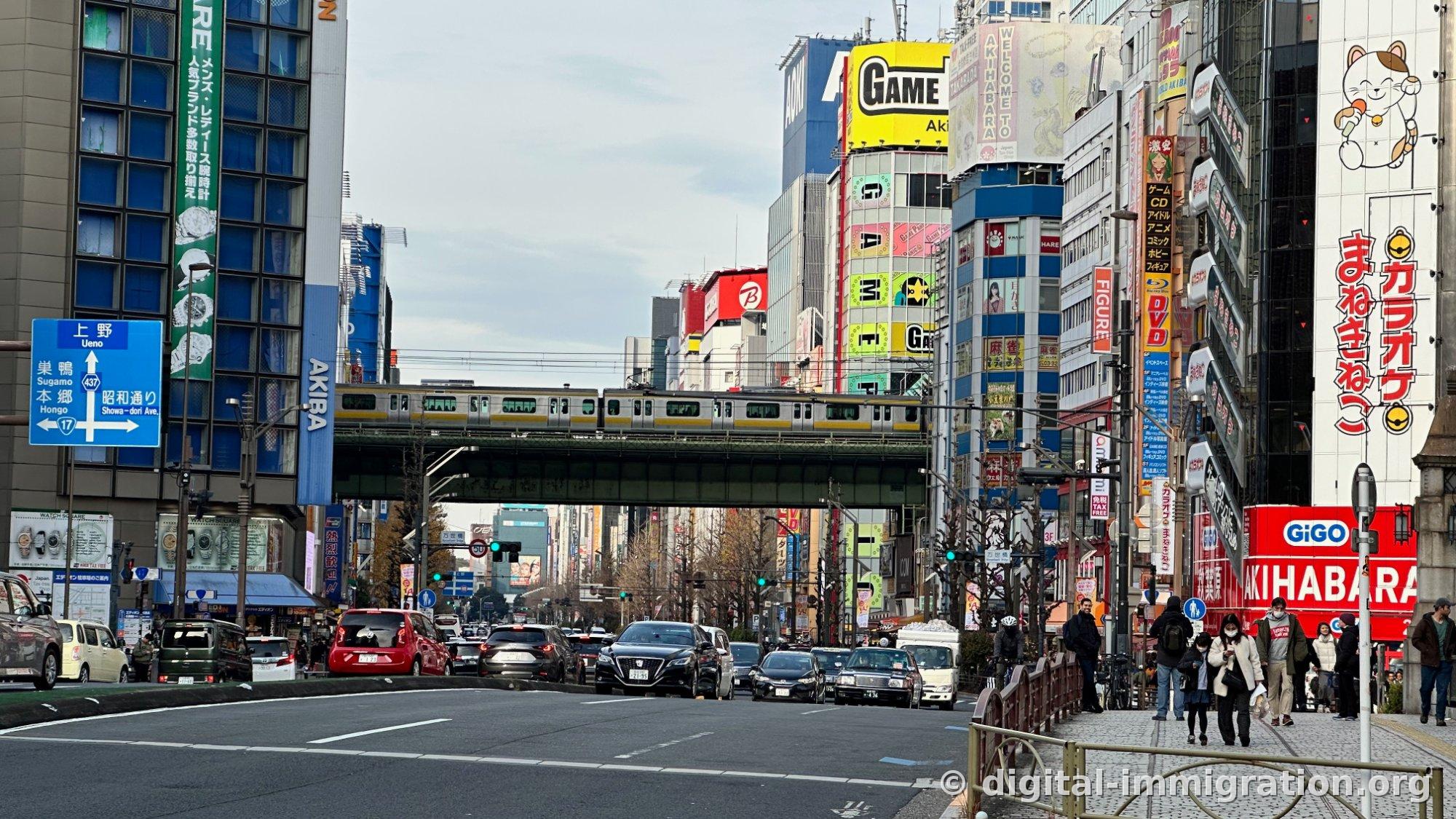 Major street with Showa-dori road signs and Sobu Line train passing overhead on elevated track, with GiGO AKIHABARA and Karaoke Maneki Neko signs visible